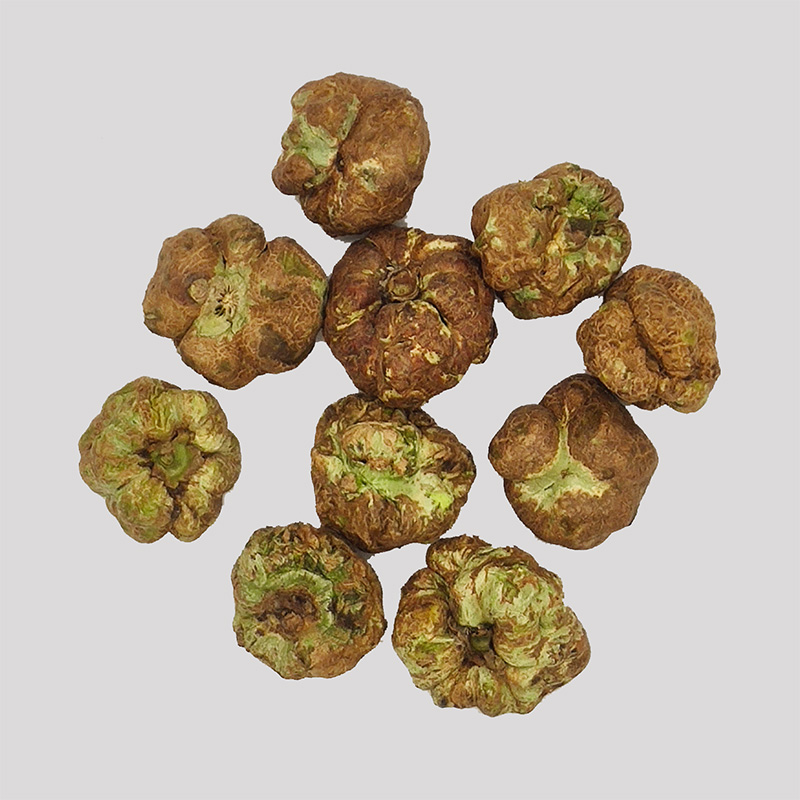 freeze dried silvervine fruit - Image 2