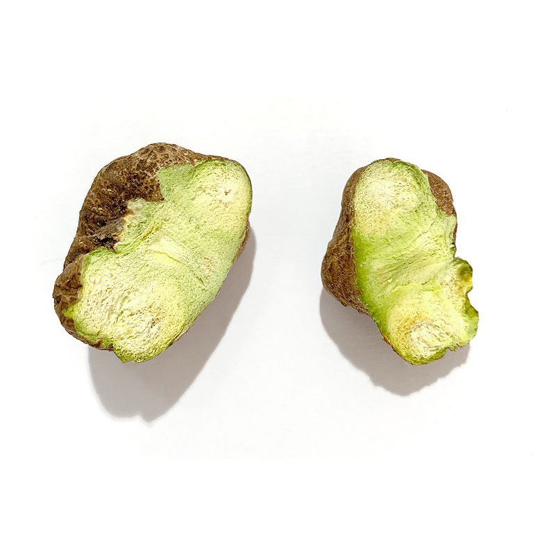 freeze dried silvervine fruit - Image 3