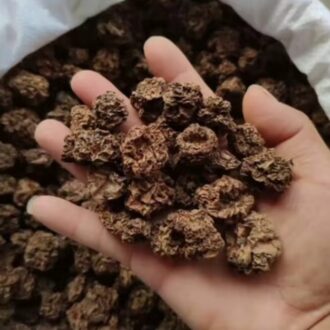 dried silvervine fruit